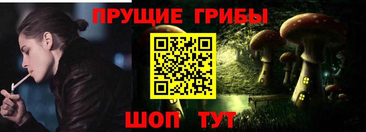 Псилоцибиновые грибы Magic Shrooms  Псилоцибиновые грибы мухоморы  Каменка  купить закладку  Вход с VPN 