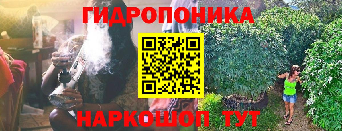 Бошки Шишки гибрид  Шишки марихуана VHQ  Вход с VPN  Марихуана ГИДРОПОН  Каменка  Каннабис VHQ 